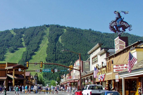 Jackson Hole Tourist